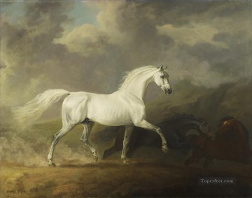 am078D animal horse Oil Paintings